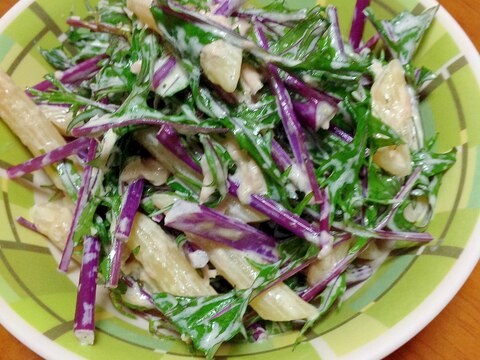 紫水菜ツナペンネサラダ